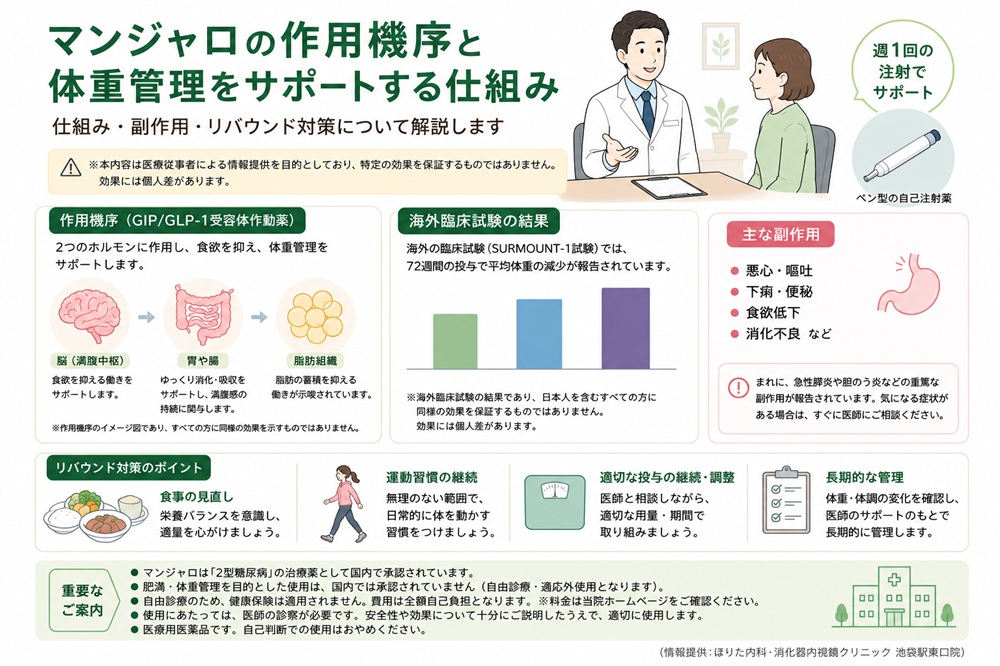 マンジャロの作用機序と期待できる減量効果│仕組み・副作用・リバウンド対策を解説